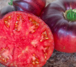 Tomate Belleza Azul - Imagen 3