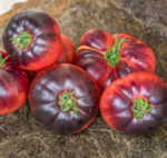 Tomate Belleza Azul