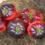 Tomate Belleza Azul