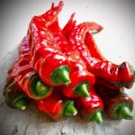 Chile Jimmy Nardello