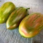 Tomate Tigre con Suerte