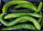 Pepino Suyo Long