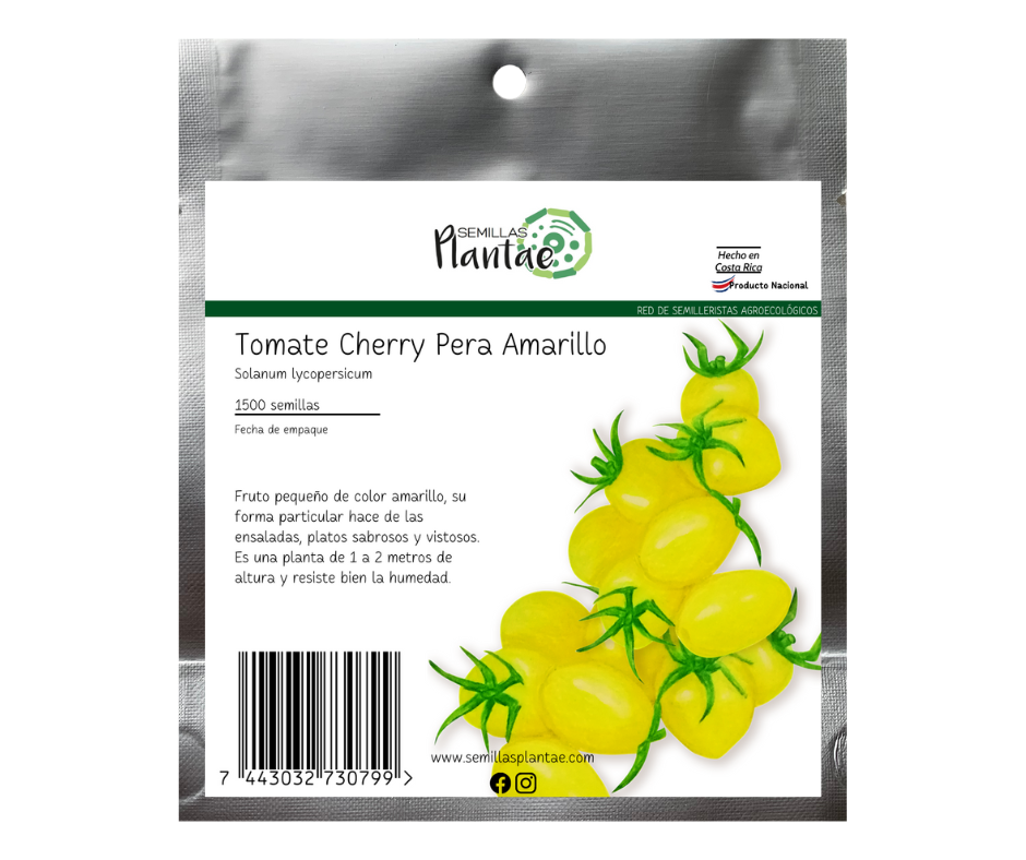 14 Tomate cherry pera amarillo FP - Imagen 1