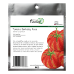 Tomate Berkeley Rosa FP