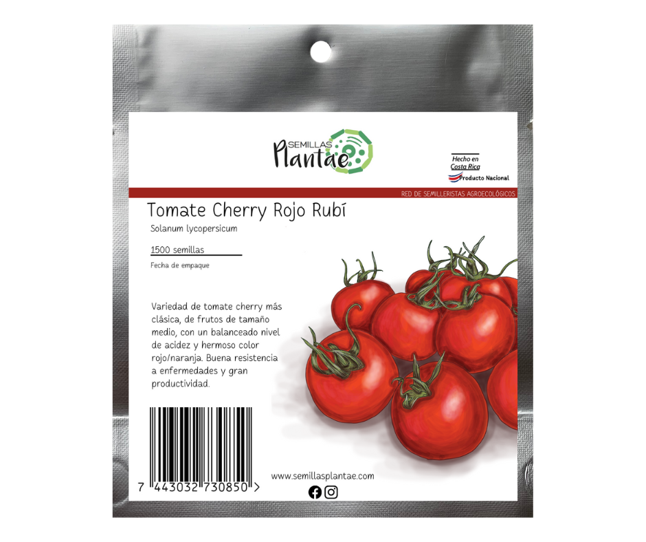21 Tomate Cherry Rojo Rubí FP - Imagen 1