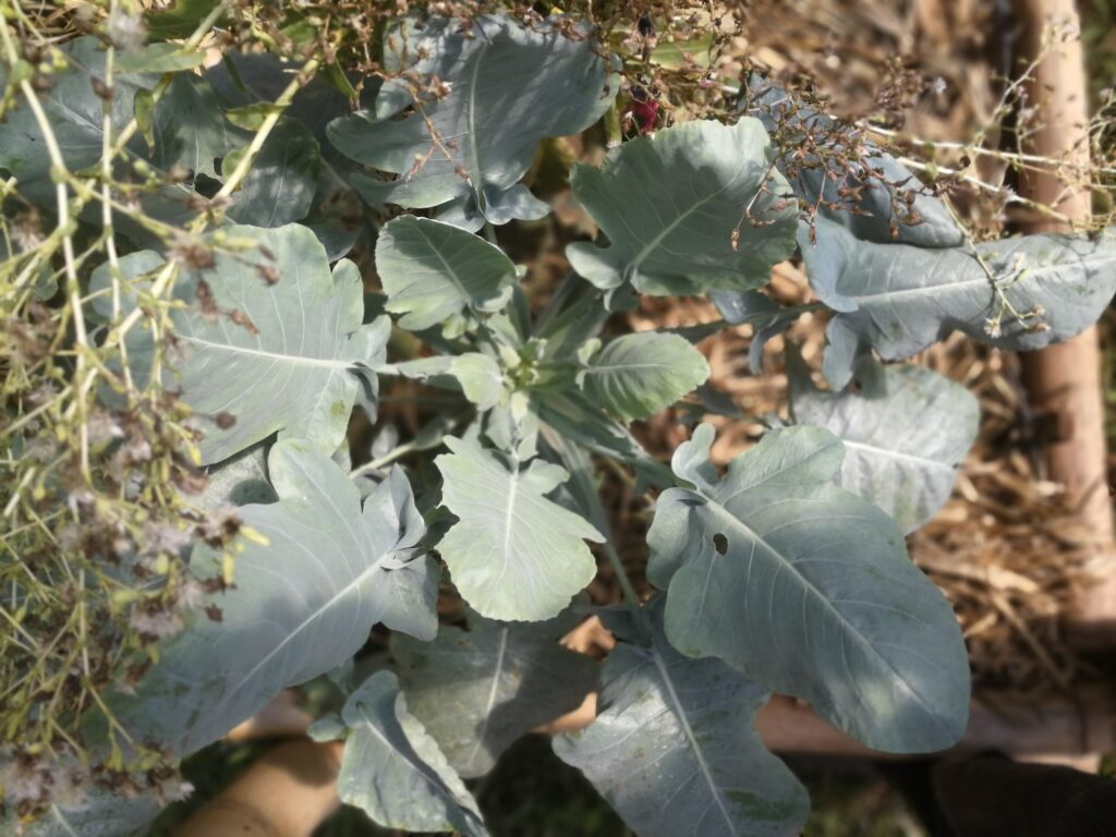 Imagen #1 de Hugo López