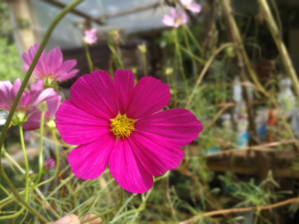 Imagen #1 de Hugo López