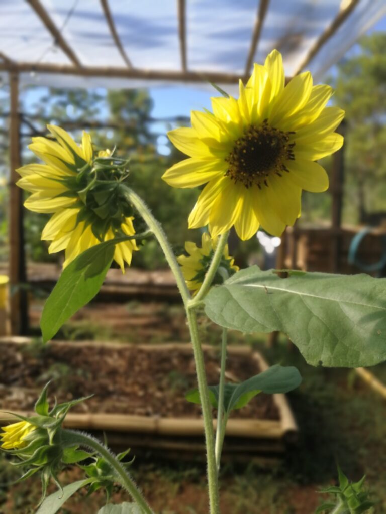 Imagen #3 de Hugo López