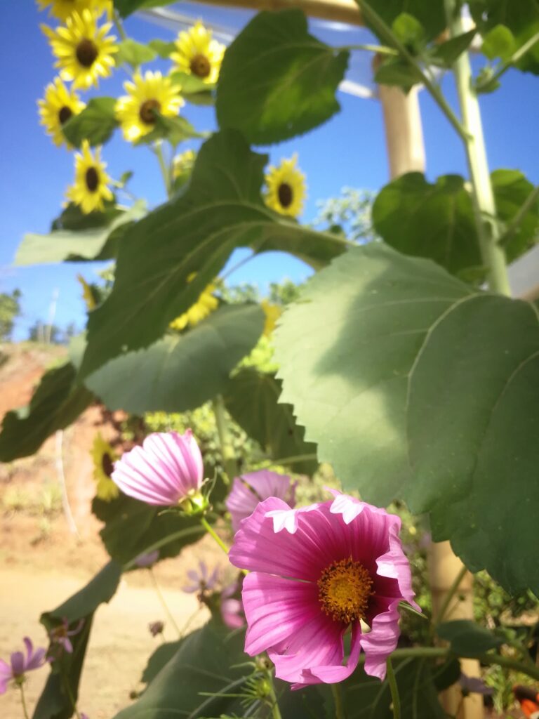 Imagen #2 de Hugo López