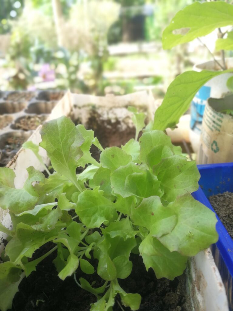 Imagen #3 de Hugo López