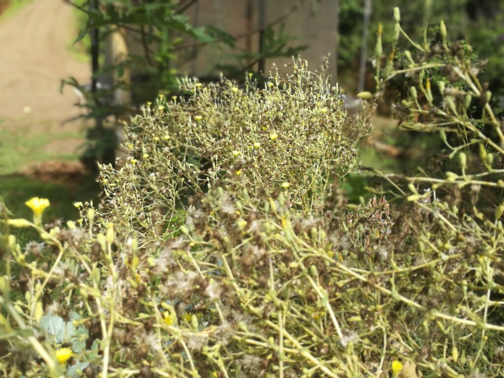 Imagen #2 de Hugo López