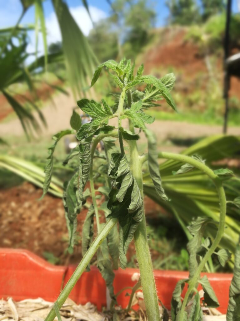 Imagen #1 de Hugo López