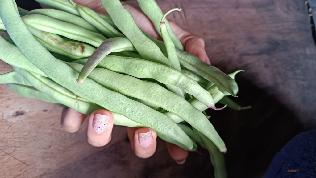 Imagen #1 de Luciana