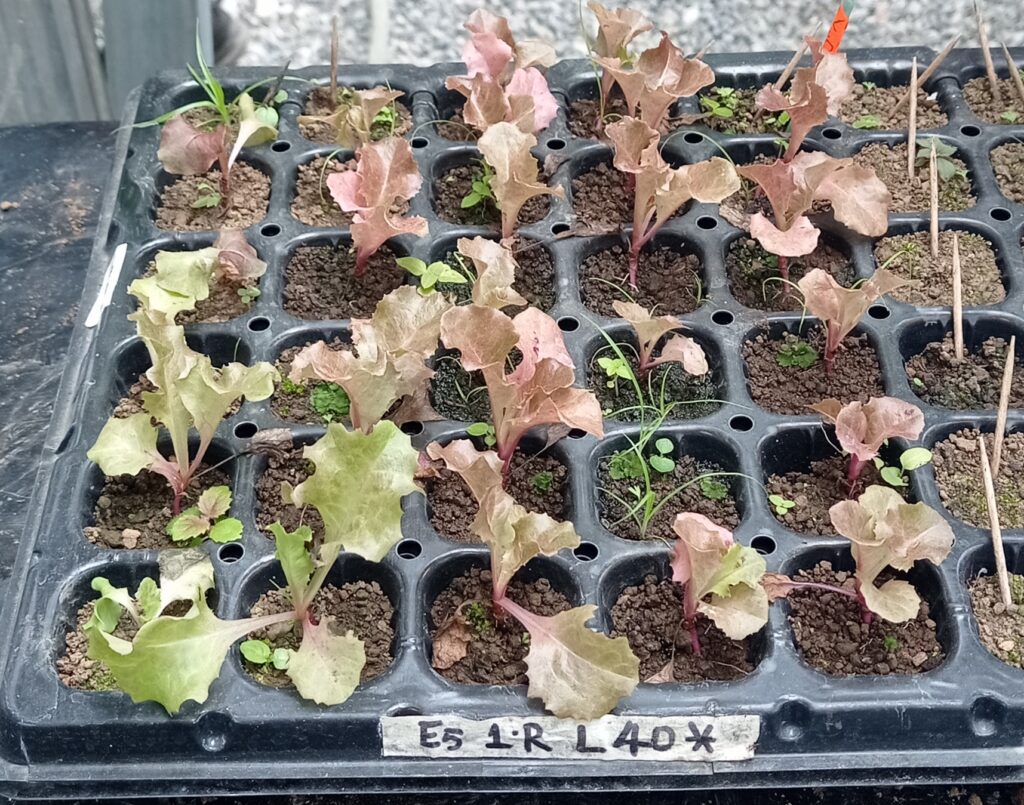 Imagen #1 de María Matilde Gutiérrez Martínez