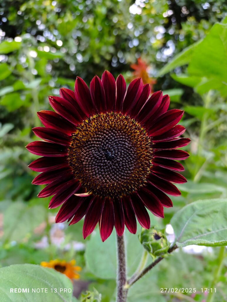 Imagen #1 de Yorleny Esquivel Prendas