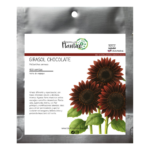Girasol Chocolate FP
