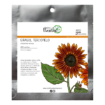 Girasol Terciopelo FP