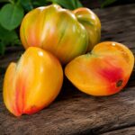 Tomate medalla dorada