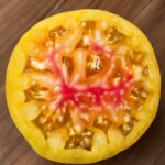 Tomate medalla dorada - Imagen 4