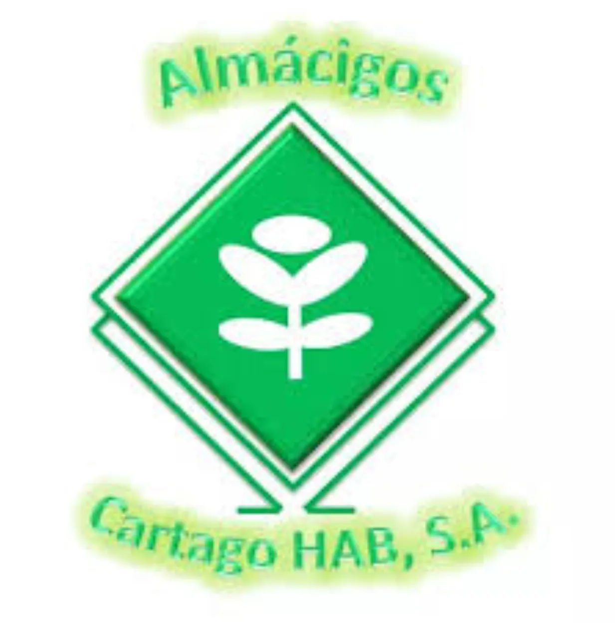 Almácigos Cartago HAB