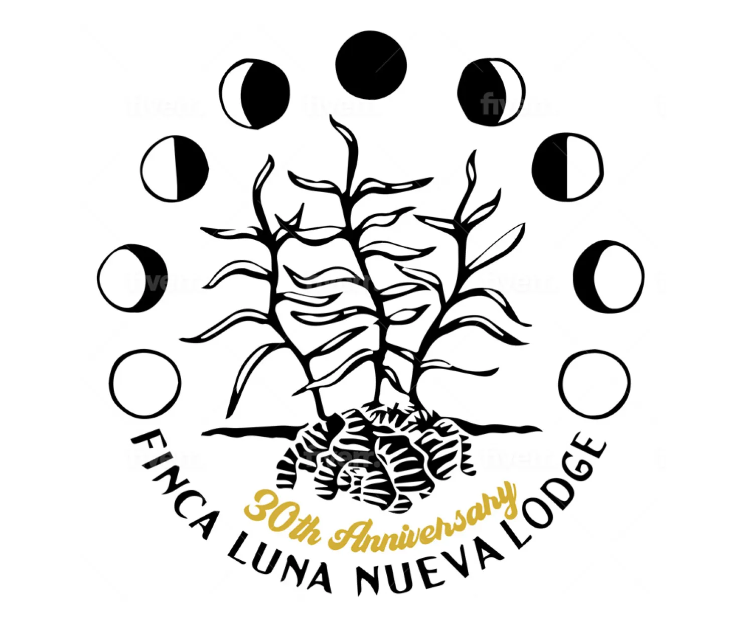 Luna Nueva Lodge