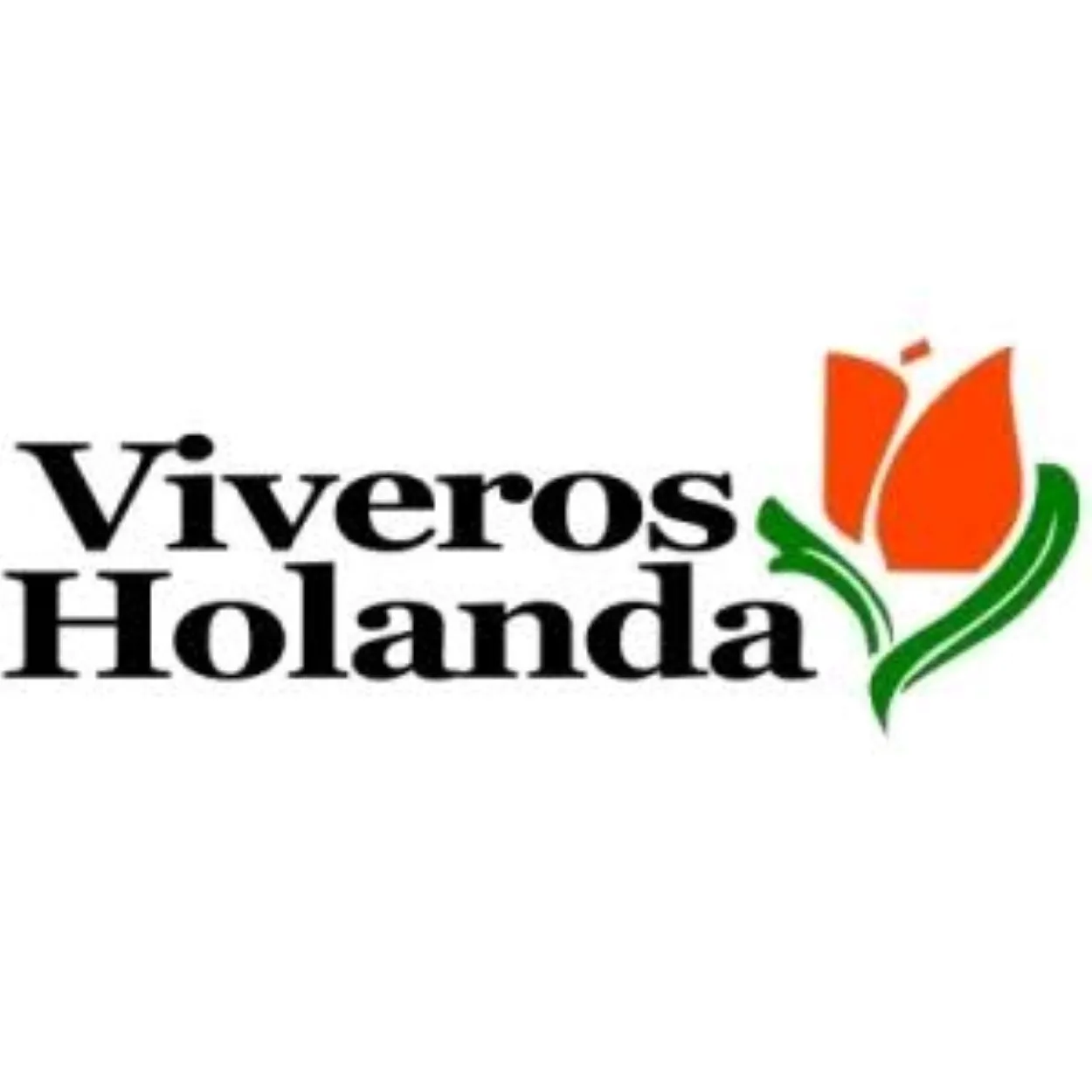 Vivero Holanda