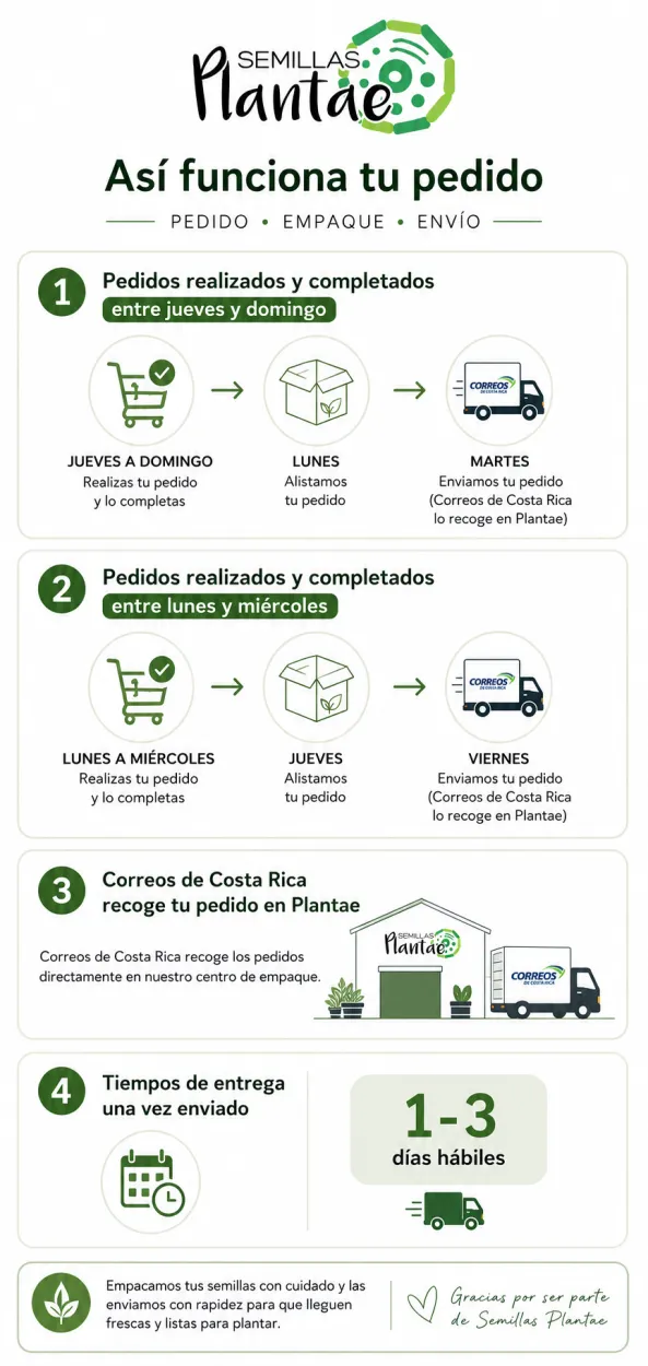 Infografía en español: así funciona tu pedido