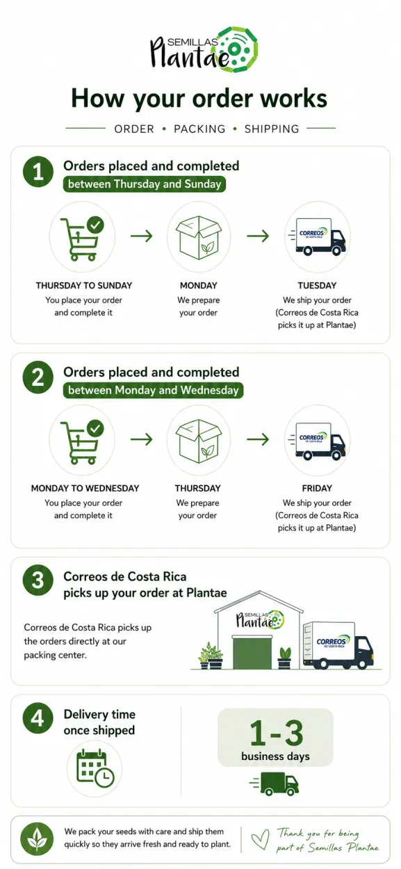 Infographic in English: how your order works
